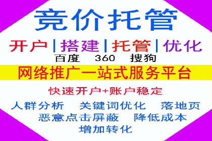 行业头部企业的网站sem托管经验分享